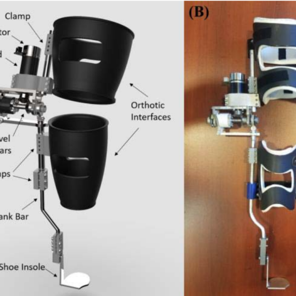 New Publication: Effects of Assistance During Early Stance Phase Using a Robotic Knee Orthosis on Energetics, Muscle Activity, and Joint Mechanics During Incline and Decline Walking